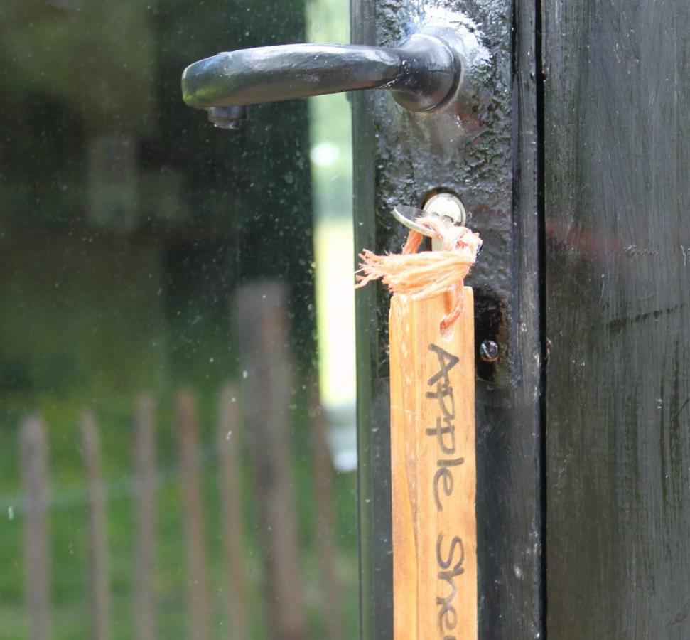 The Old Apple Shed Cosy Heated Cottage In A Meadow Close To The Charming Village Of Bethersden Ashford  Exterior foto